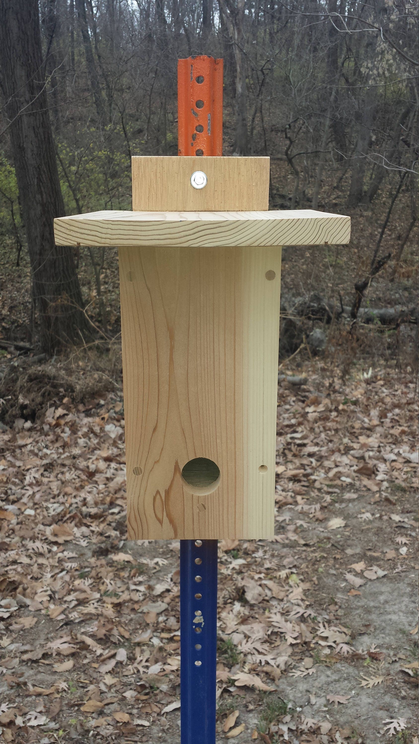 Raw Cedar Songbird Roosting Box - With Cleanout - 16" x 7" …