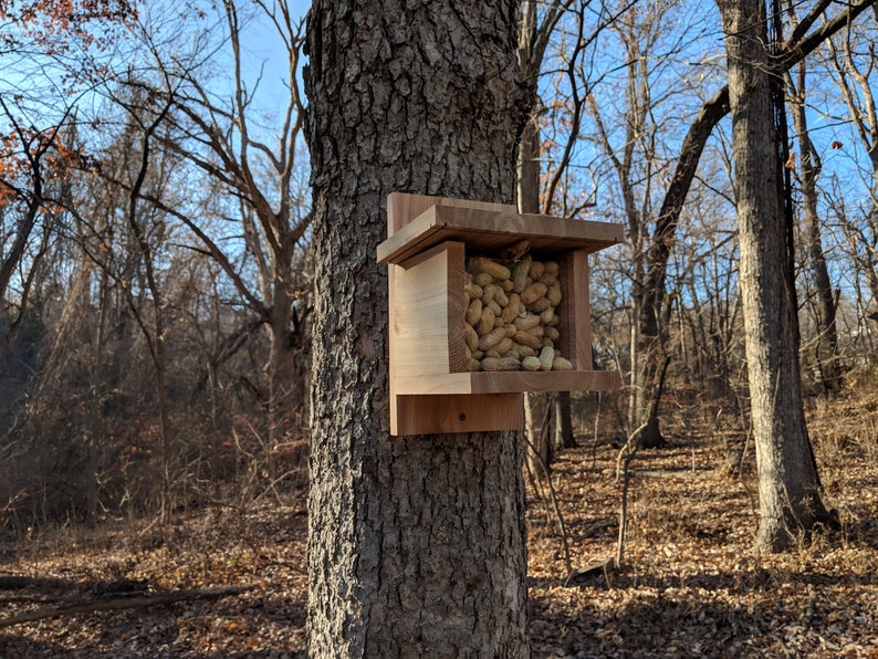 Raw Cedar Squirrel Feeder With Hinged Roof 12 X Etsy