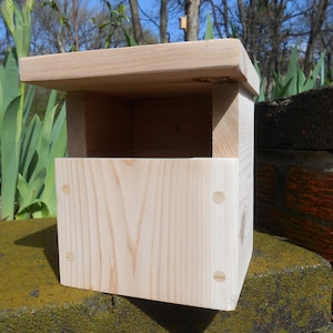 May include: A simple wooden birdhouse with a flat roof and a small opening for birds to enter. The birdhouse is made of unfinished wood and has a natural wood color.