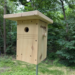 Deluxe Cedar Bluebird Nesting Box/Birdhouse - Larger Interior Space with Side Access/Cleanout