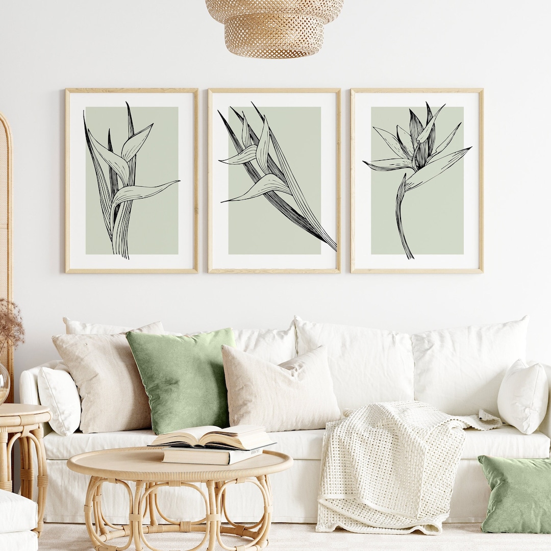 Sage Green Botanical Wall Art Set of 3 – Minimalist Line Art Lily ...