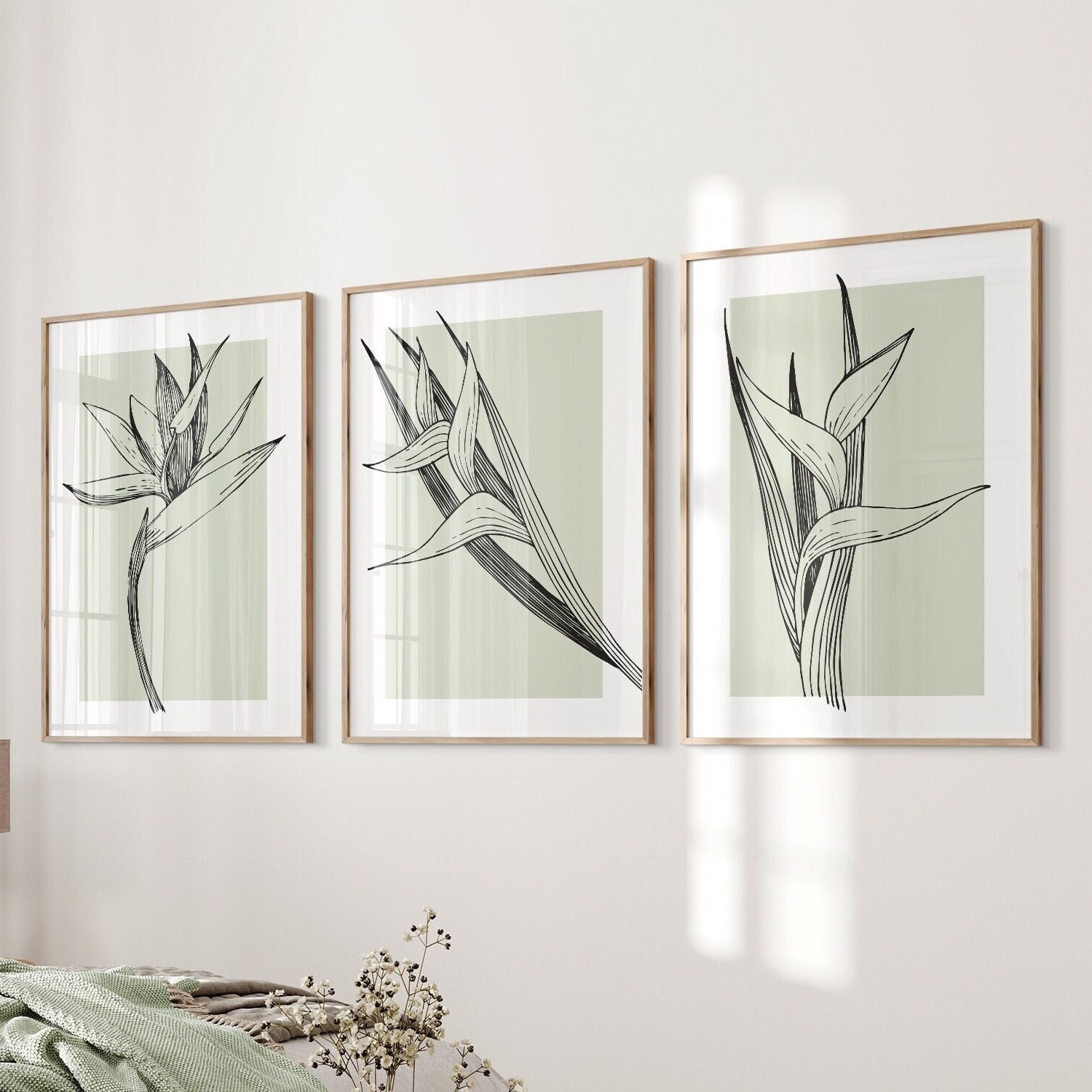 Sage Green Botanical Wall Art Set of 3 – Minimalist Line Art Lily ...