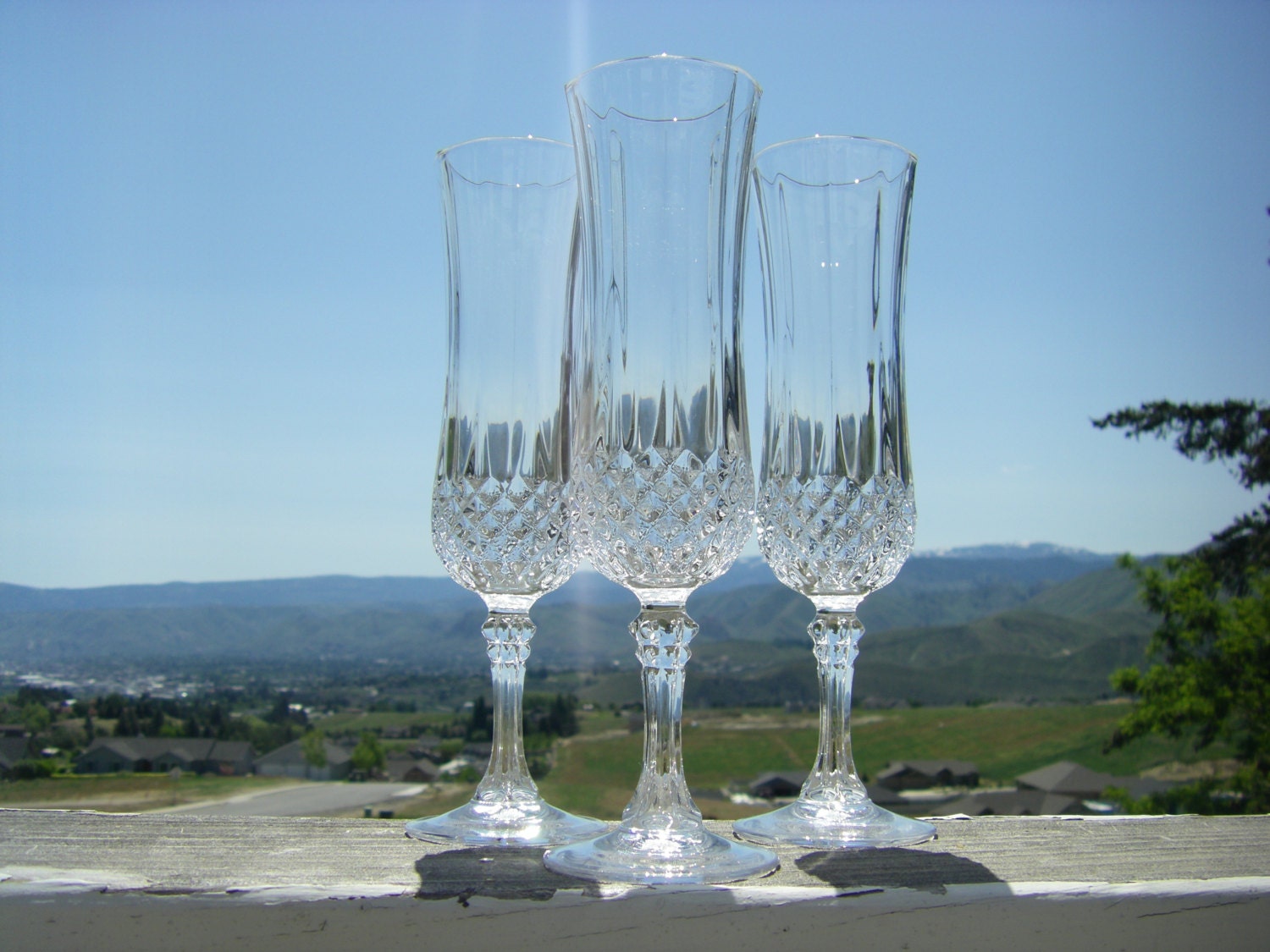 Cristal d'Arques/Durand 'Longchamp' Champagne Flute, 2"...