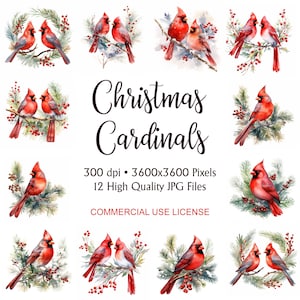 Clipart de acuarela navideña, cardenales rojos, 12 archivos JPG de 300 ppp, paquete de clipart navideño, monumento a los cardenales, cardenal navideño de corte quisquilloso JPG
