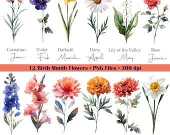 Birth Month Flowers, 12 PNG Files for Birthday, Birth Flowers, Commercial & POD Use, Watercolor Floral Clipart, Mother's Day Clipart Bundle