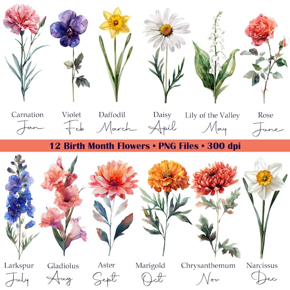 Birth Month Flowers, 12 PNG Files for Birthday, Birth Flowers, Commercial &  POD Use, Watercolor Floral Clipart, Mother's Day Clipart Bundle - Etsy