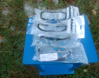 Radnor/Pyramex Safety Glasses W/Foam Edges-Set of 4