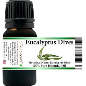 Silky Scents Eucalyptus Dives Essential Oil 100% Pure and Natural