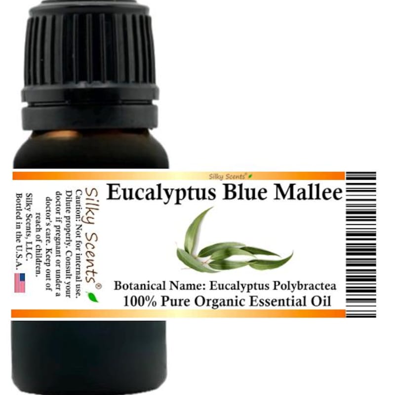 Eucalyptus Oil - Etsy