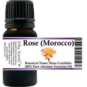 Silky Scents Rose (Morocco) Absolute Essential Oil (Rosa Centifolia) 100% Pure and Natural
