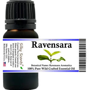 Silky Scents Ravensara Wild Crafted Essential Oil (Ravensara Aromatica) 100% Pure and Natural