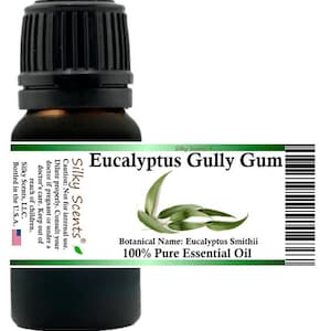 Profumi setosi Olio essenziale di Eucalyptus Gully Gum (Eucalyptus Smithii) 100% puro e naturale