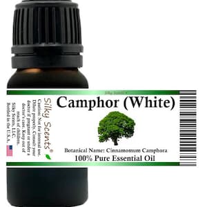 Silky Scents Camphor White Essential Oil (Cinnamomum Camphora) 100% Pure and Natural