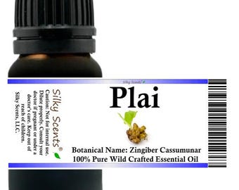 Silky Scents Plai Wild Crafted Essential Oil (Zingiber Cassumunar) 100% Pure and Natural