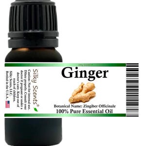 Silky Scents Ginger Essential Oil (Zingiber Officinale) 100% Pure and Natural