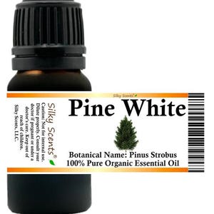 Aceite esencial orgánico de pino blanco Silky Scents (Pinus strobus) 100% puro y natural