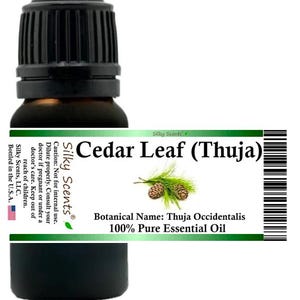 Silky Scents Cedar Leaf Essential Oil (Thuja Occidentalis - White Cedar) 100% Pure and Natural