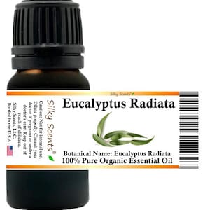 Silky Scents Eucalyptus Radiata (Narrow Leaf) Organic Essential Oil 100% Pure and Natural