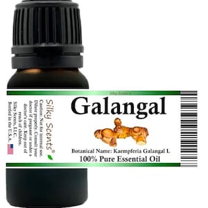 Silky Scents Galangal Essential Oil (Kaempferia Galangal L) 100% Pure and Natural