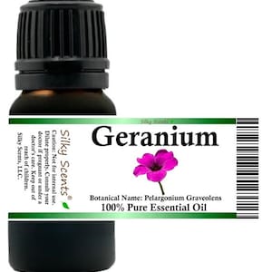 Silky Scents Geranium Essential Oil (Pelargonium Graveolens) 100% Pure and Natural
