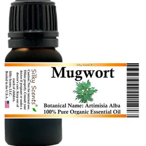 Silky Scents Mugwort Organic Essential Oil (Artimisia Alba or Armoise Mugwort) 100% Pure and Natural