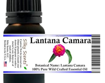 Silky Scents Lantana Camara (Red Sage) Wild Crafted Essential Oil 100% Pure and Natural