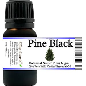 Silky Scents Pine Black Wild Crafted Essential Oil (Pinus Nigra) 100% Pure and Natural