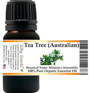 Silky Scents Tea Tree Organic (Australian) Essential Oil (Melaleuca Alternifolia) 100% Pure and Natural