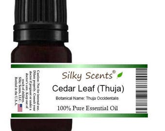 Cedar Leaf Essential Oil (Thuja Occidentalis - White Cedar) 100% Pure and Natural