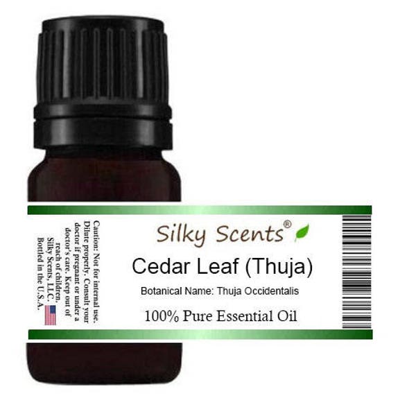 Cedar Leaf Essential Oil (Thuja Occidentalis - White Cedar) 100% Pure and Natural