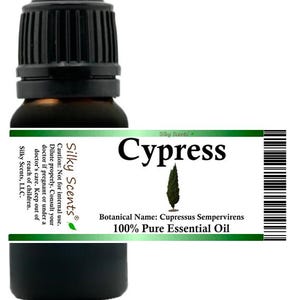 Olejek eteryczny z cyprysu wieczniezielonego (Cupressus Sempervirens. Znany również jako cyprys śródziemnomorski lub cyprys włoski) 100% czysty i naturalny zdjęcie 1