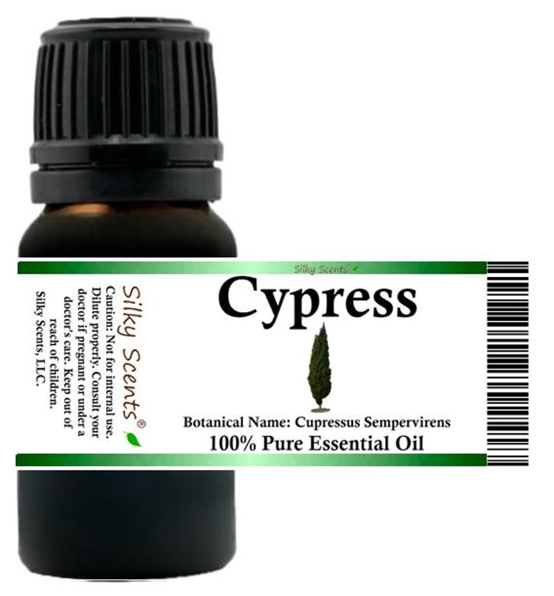 Olejek eteryczny z cyprysu wieczniezielonego (Cupressus Sempervirens. Znany również jako cyprys śródziemnomorski lub cyprys włoski) 100% czysty i naturalny zdjęcie 1