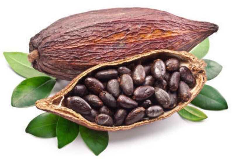 Cocoa Absolute Essential Oil theobroma Cacao SEMISOLID Etsy