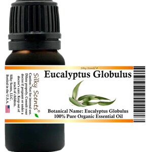 Silky Scents Eucalyptus Globulus (Blue Gum) Organic Essential Oil 100% Pure and Natural