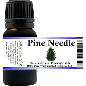 Aceite esencial de aguja de pino (Pine Scotch) de elaboración silvestre Silky Scents (Pinus Sylvestris) 100 % puro y natural