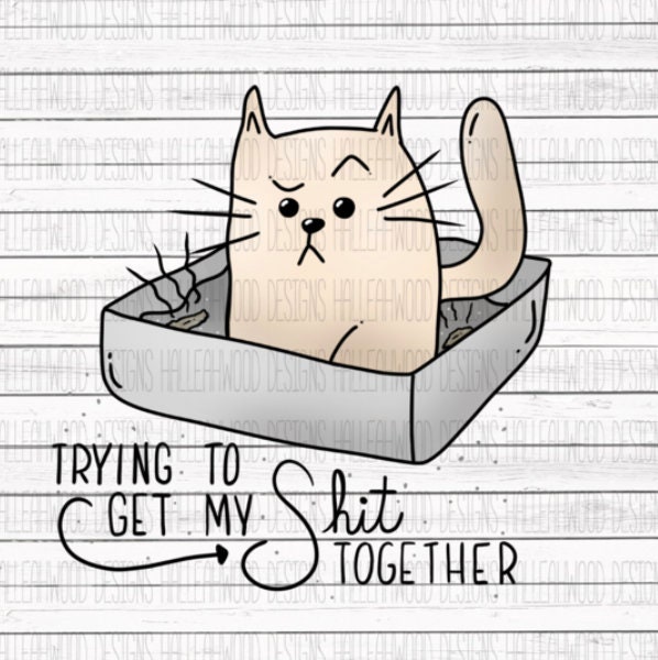 Trying to get my Shit Together