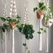 see more listings in the Plant Hangers section