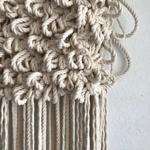 May include: A beige macrame wall hanging with a textured, knotted design and a fringe of tassels.