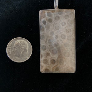 Hand Polished Michigan Petoskey Pendant in Silver-Plate Bezel