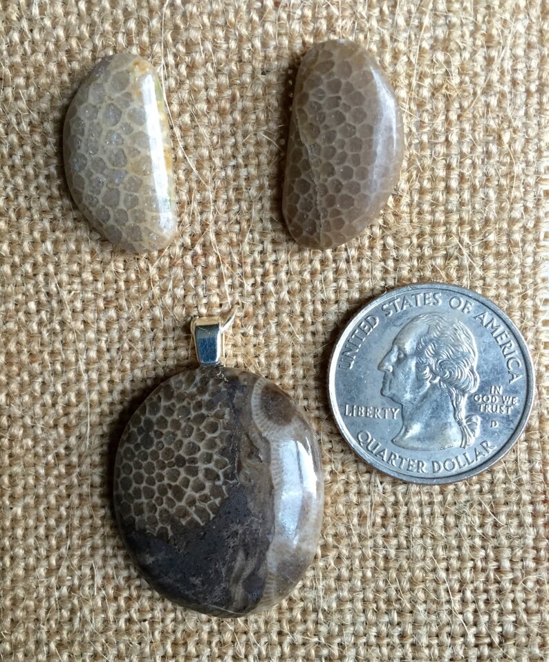 Michigan Charlevoix Stone and Petoskey Mix Pendant and Etsy