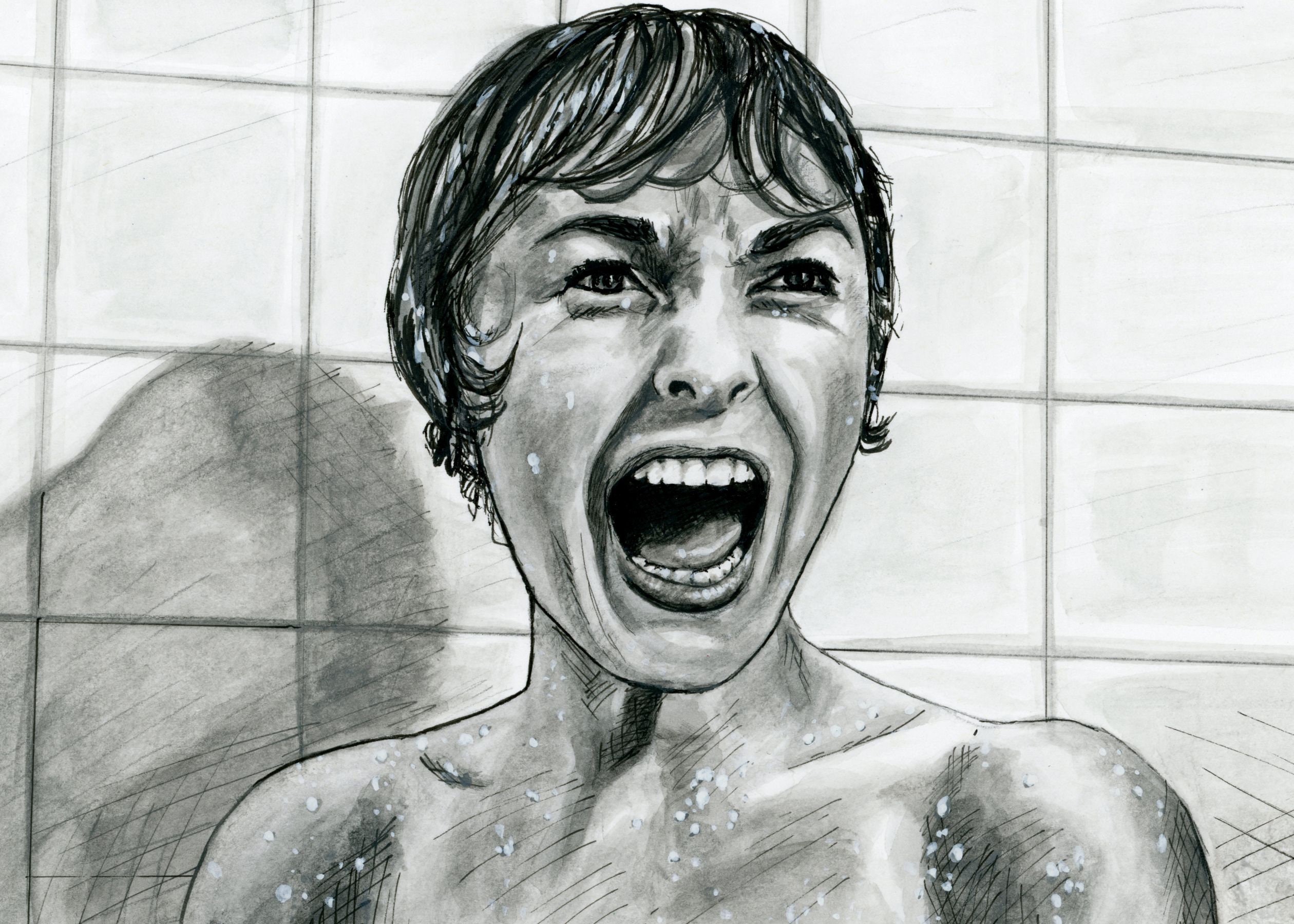 Psycho 1960 Shower Scene