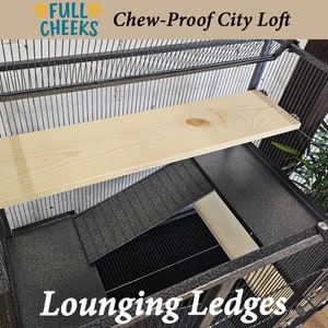 Full Length Cage Ledges for Full Cheeks Chew Proof City Loft Cage Kiln Dried Pine