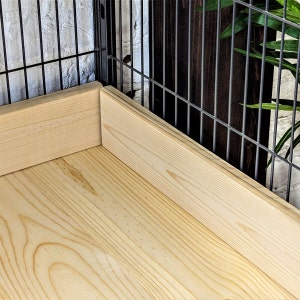 May include: Close-up of a light-coloured wooden corner, possibly part of a cage or enclosure. The wood grain is visible, and the corner is framed by a dark metal grid and a dark wooden panel. The background includes a white brick wall and greenery.