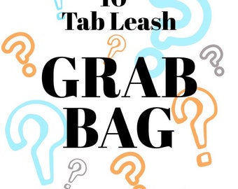 10” Tab Loop Dog Leash GRAB BAG