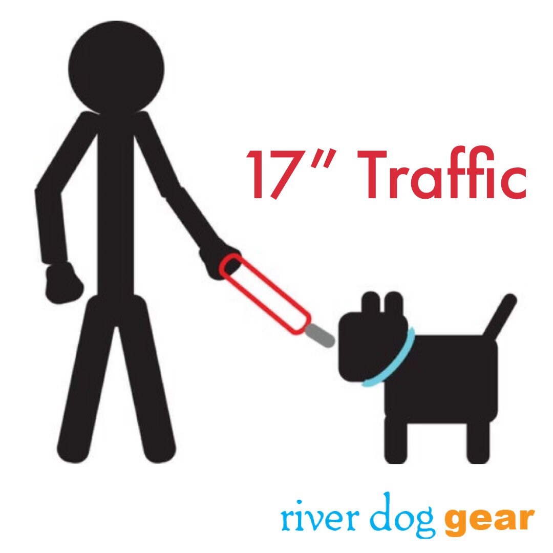 Red Dog Leash 3 Lengths available