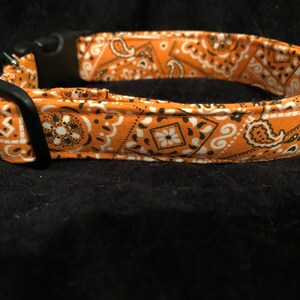 May include: Orange and black bandana dog collar with a black plastic buckle.
