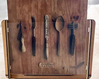 Romany House Vinyl Record Storage/Display Box Plus Frightened Rabbit&#39;s 2012 EP - State Hospital -- A Must for Contemporary Vinyl Collectors