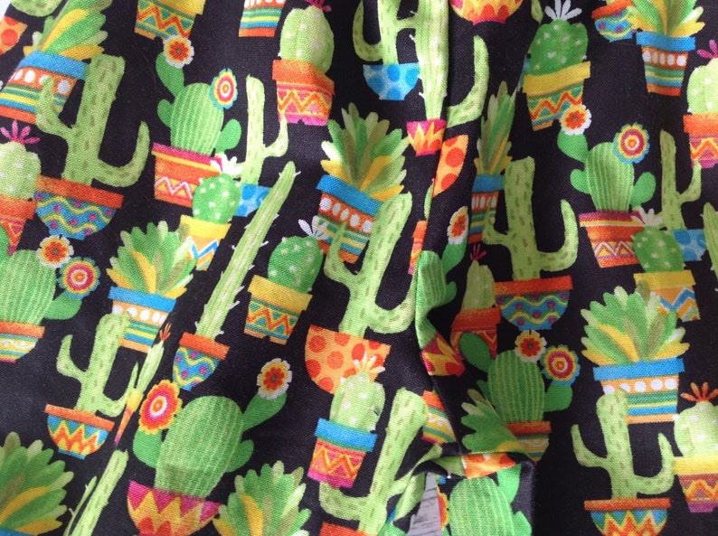 Baby boy clothes unique gender neutral baby outfit cactus fabric 2 piece set applique bodysuit and pants nb 3 6 12 18 mths