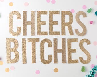 Cheers Bitches Glitter Banner, Cheers Bitches Sign, Cheers Banner, Custom Cheers Banner, Cheers Ladies Banner