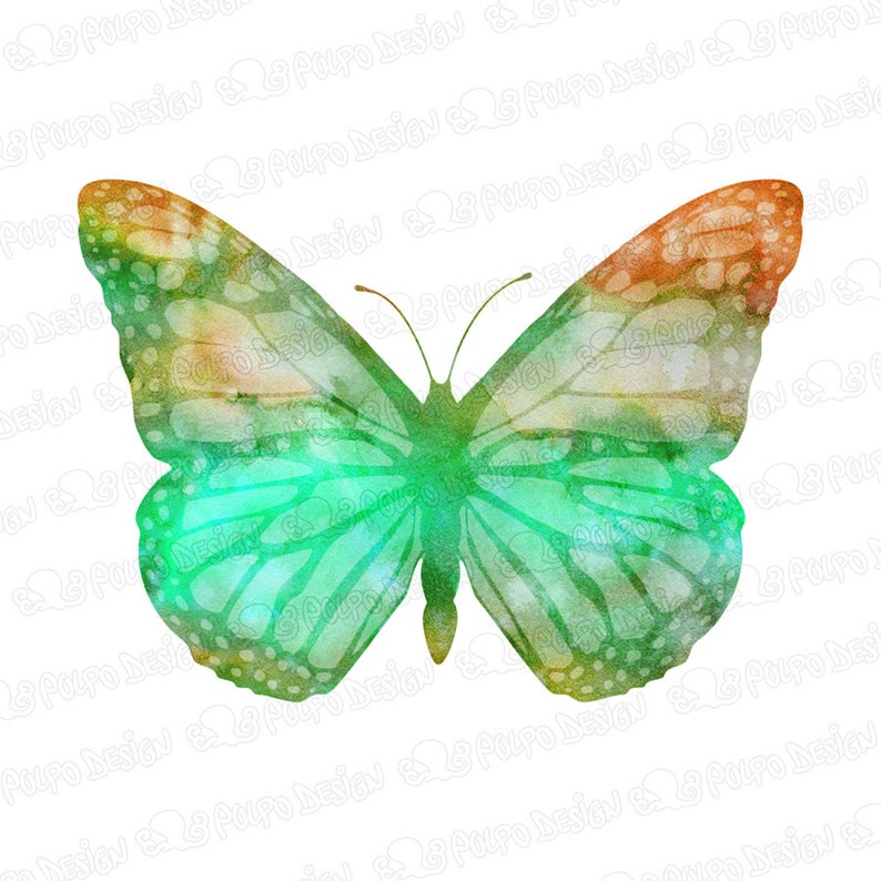 May include: A watercolor painting of a butterfly with green, blue, and orange wings. The butterfly is in flight and has a white background.